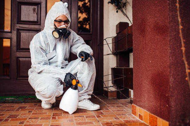 Reliable Cockroach Control contractor in Clermont, FL by Nex Pest Control
